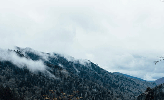 王者榮耀網名帶符號