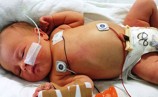 新生兒寶寶起名大全,起名網(wǎng)生辰八字取名:洋氣有意蘊(yùn)