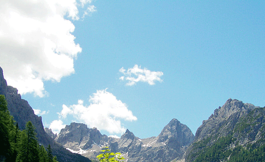 最新扣扣個性網名