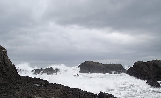 有創意的英文品牌名字