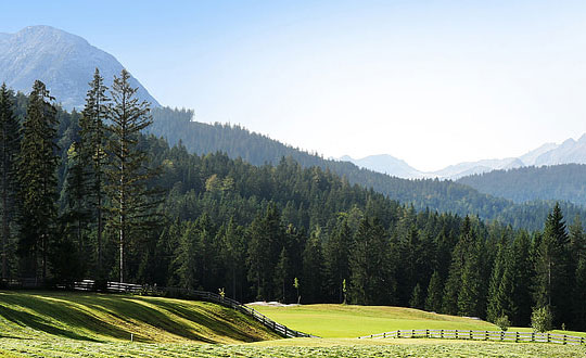 論語里適合男生的名字，王思聰的名字也出自其中