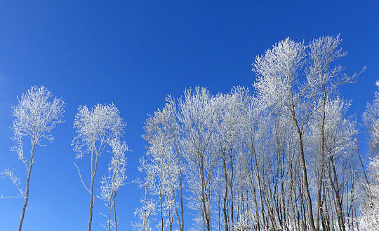 女孩名字取什么好聽有內涵寓意：單字推薦