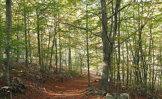 有內(nèi)涵寓意的女孩寶寶名字大全:文雅洋氣