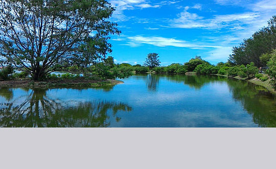 洋氣時尚的女寶寶名字大全:取名小訣竅