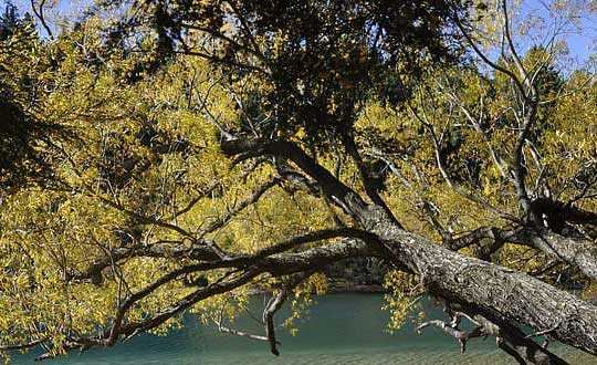 女寶寶取名字大全文雅有寓意的:內涵洋氣