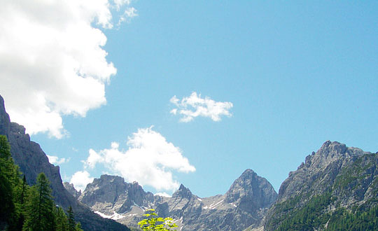 馬姓名女孩起名三個字 女孩姓馬取獨特的名字:內涵有寓意