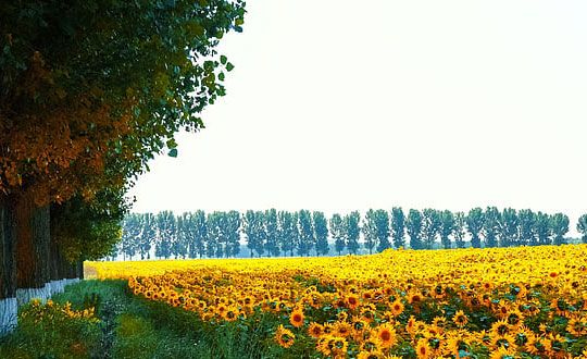 新生兒起名字免費取名 最好聽的新生兒名字推薦:儒雅洋氣