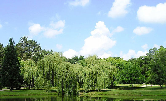  詩詞取名女孩,女生取名字大全：起名大全