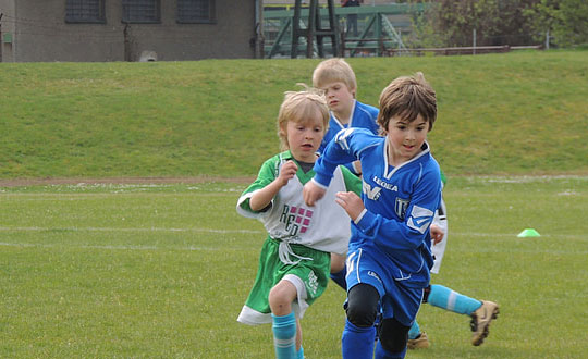 屬豬取名宜用什么字:起名方式和思路