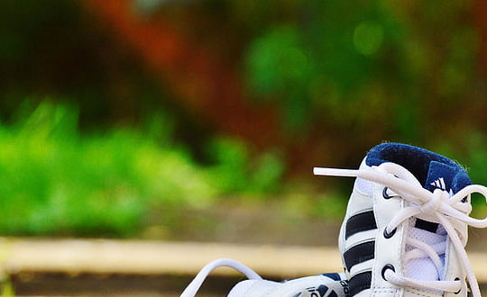 屬豬女孩好聽的名字大全:經典字分享