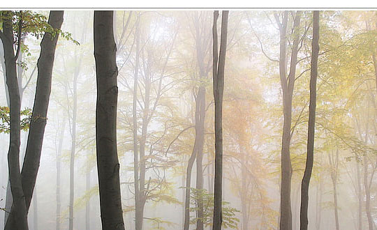 女孩取名字 文化有底蘊的古詩詞名字：經典推薦