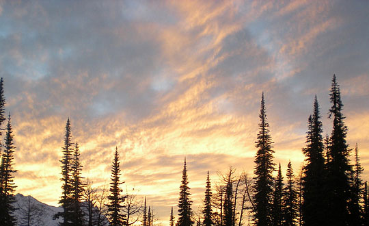 內涵詩經取名洋氣唯美女孩名字