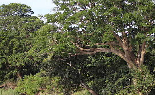 內涵洋氣有寓意的女孩名字大全
