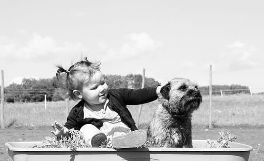 女寶寶名字內涵洋氣,女寶寶取名大全:起名思路和方式