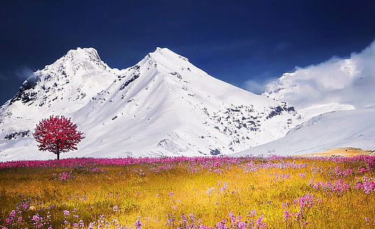 女寶寶洋氣時尚的名字大全：唯美經典大氣