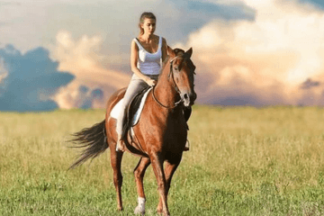 高端好聽(tīng)的吃雞名字