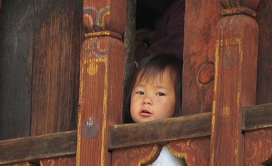 老師起名字大全免費(fèi)