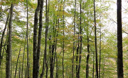 老師起名周易測算