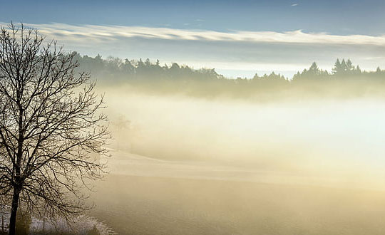 寶寶起什么名字好聽(tīng)?看看儒雅大氣的女孩名字