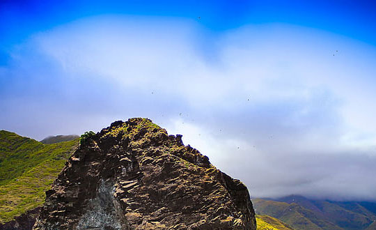 測名字打分100分,生辰八字取名字:好聽的經(jīng)典名字