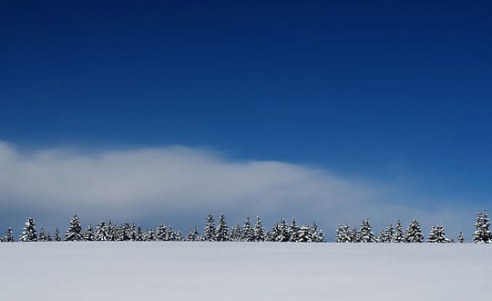 豬:火腿。在迪士尼·皮克斯影片《玩具總動員》里,火腿扮演一個愛說俏皮話的塑料小豬儲蓄罐。他不但是忠誠可靠的好伙伴,而且幫你把零錢存好。