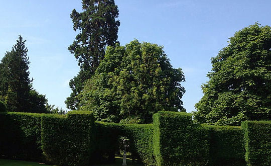 男孩寶寶取名文雅有詩意的名字精選:獨(dú)特經(jīng)典