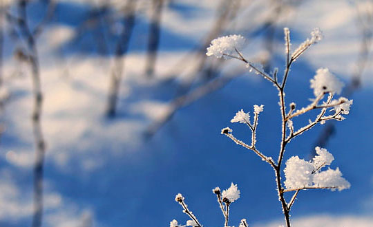 帶解釋的男孩名字唯美洋氣:唯美有詩意