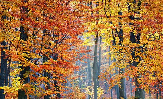 小孩起名大全男孩新穎有涵養：有寓意單字推薦