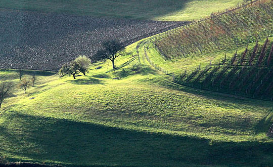  男孩獨(dú)特少見的名字,沉穩(wěn)大氣男孩名字
