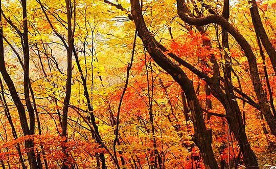 女寶寶起名低調內涵的名字精選:唯美字推薦