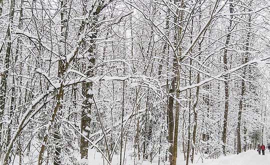 詩經女孩名字及出處