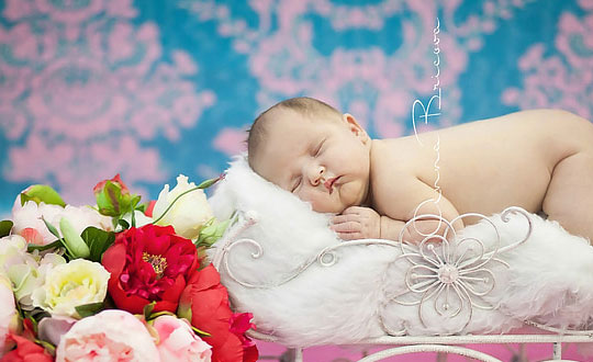 詩經女孩名字取什么好