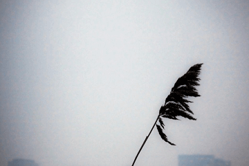 電視劇去有風的地方經典語錄大全，優秀臺詞