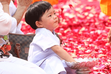 2023年屬兔取名男孩之網友問答