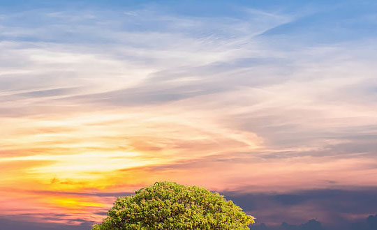 朗朗上口三個字的商標名字