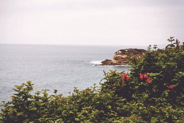 一看就暖心的網名,特別好聽