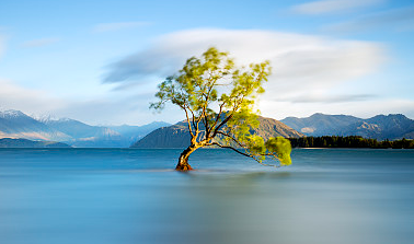 好聽稀少的男孩名字,屬龍的男孩名字大全