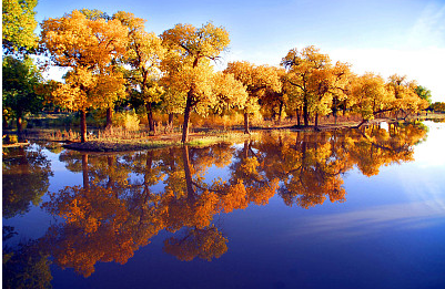 20款的古風(fēng)昵稱,瞬間讓你的微信穿越回古代!
