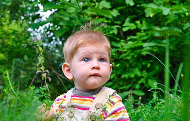 滕王閣序取名男孩，取自滕王閣序中的驚艷男孩名