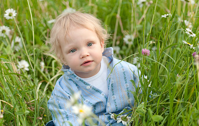 2024年龍寶寶詩經(jīng)起名，越念越有福的乳名小名 