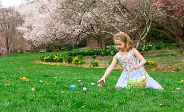 寶寶起名:出自《論語》中小眾而驚艷的龍寶寶名字