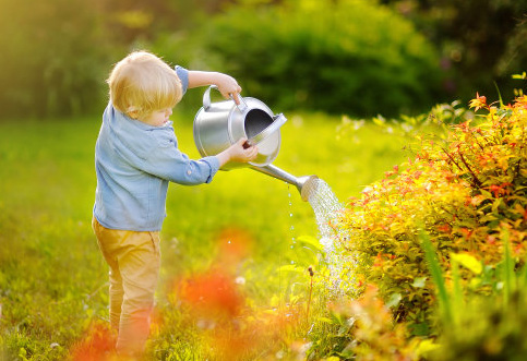 生僻卻美到爆的名字男，24年的龍寶寶高分名字分享