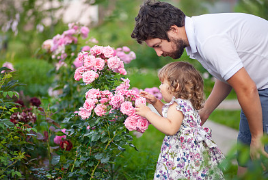 【詩經】里寓意平安喜樂的女孩名