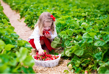 寶寶起名：出自宋詞里驚艷的男孩名、女孩名！