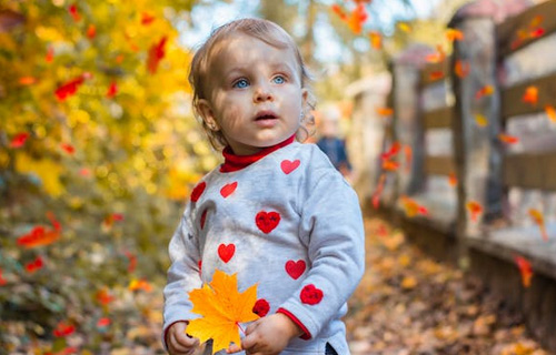 2025莫姓好聽稀少的女孩名字有哪些？