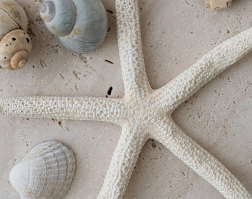 姓羅有氣質(zhì)的男孩名字大全,收藏留著給寶寶起名用