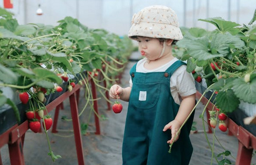 孟姓男寶寶起名改名，優秀的男孩名字精選