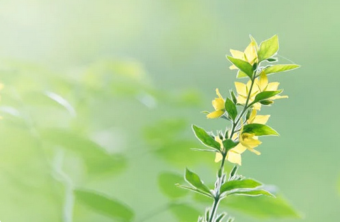 男孩起名，焦姓男孩名字大全洋氣