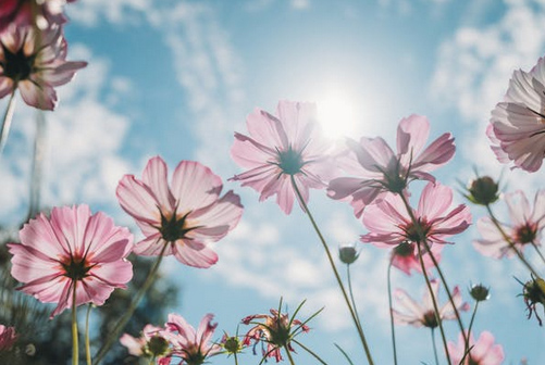 店鋪取名 | 有創意的冷飲店名字