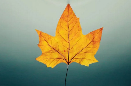 穩(wěn)重成熟的網(wǎng)名30歲男（精選58組）